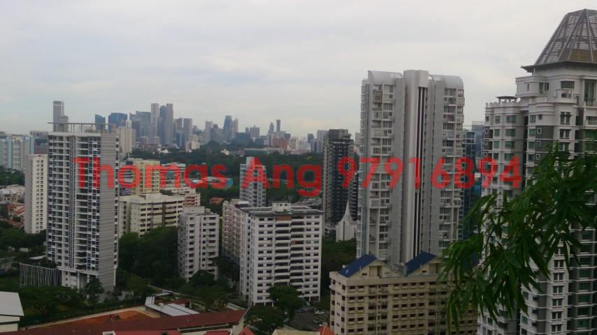 Soleil @ Sinaran (D11), Condominium #88391242